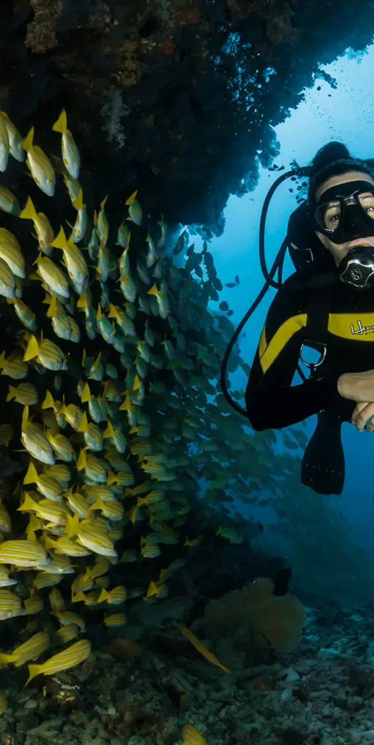 Diving